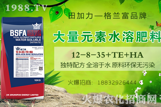 小南瓜田間管理