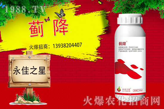 �E�RΣ���Y������Щ����ʲôˎ����Ч������