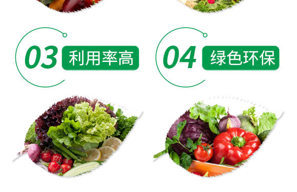 �������⛣�1000g��-����Z_05