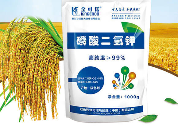 �������⛣�1000g��-����Z_02