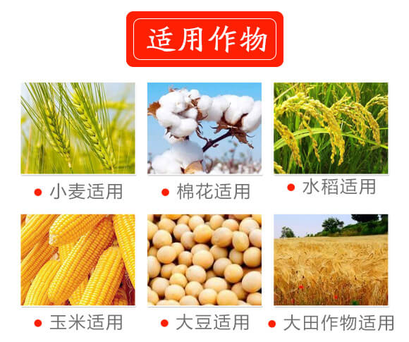 ��������-���@����-����_04