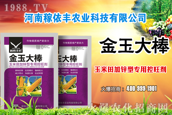 玉米施肥尿素和復(fù)合肥哪個好？玉米施肥注意事項(xiàng)有哪些？