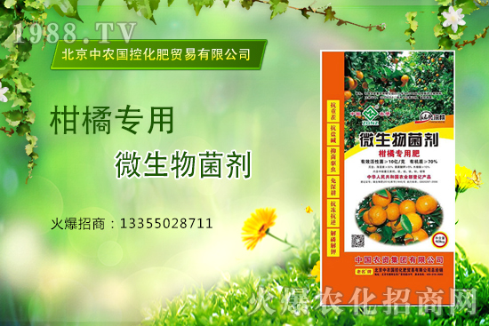 柑橘怎么施肥？施什么肥？柑橘專(zhuān)用肥有哪些？