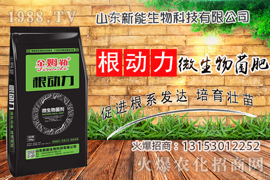 作物生根用什么肥?使用“微生物菌肥”有什么優(yōu)勢?