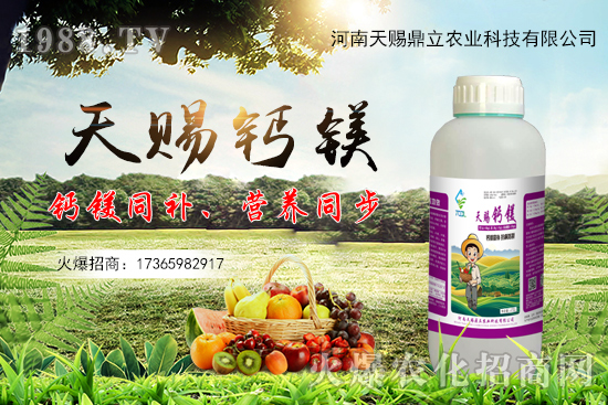 ���n������ʲô��(y��u)�������n�������Ʈa(ch��n)Ʒ����Щ��