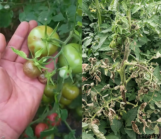 ����������ΰl(f��)�������Л]�кõķ��δ�ʩ�������@�ׂ�����߀�о���