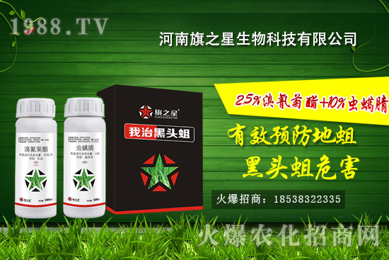 河南旗之星怎么樣？河南旗之星殺蛆產(chǎn)品有哪些？