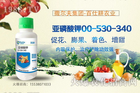 營養(yǎng)控梢，預(yù)防潰瘍！亞磷酸鉀真的這么牛嗎？亞磷酸鉀作用原理！