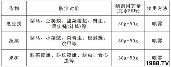 2.4%阿維·氯氰能打薊馬嗎?2.4%阿維·氯氰使用方法!