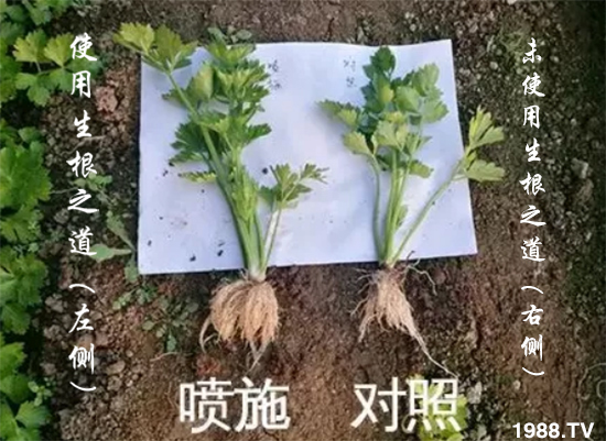 �����ϵ��a(ch��n)������������֮���������¸����������a(ch��n)�o�n��