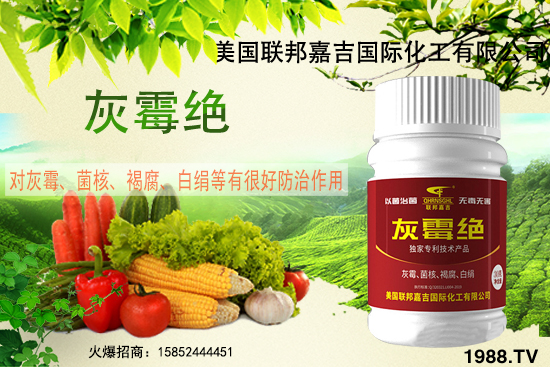 聯(lián)邦嘉吉怎么樣，聯(lián)邦嘉吉有哪些特色？公司暢銷產(chǎn)品有哪些？