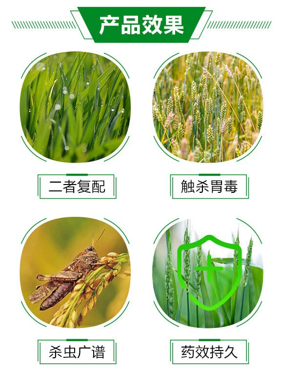 20%�������x(ch��ng)��-���A����_03