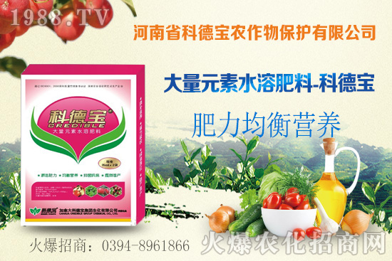 玉米空稈危害大，什么原因造成的？玉米空稈防控措施！