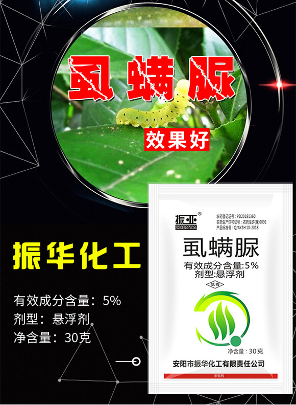 5%ʭ����-��-���A����_01