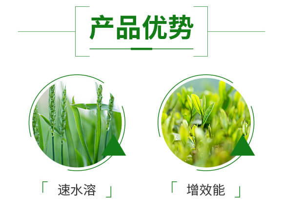 ��������-������-��٤�z_04