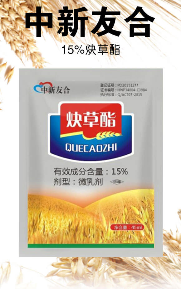 15%Ȳ����-�����Ѻ�_01