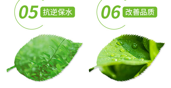 �VԴ�S�����-��ɫ����-���r(n��ng)˹�_(d��)_06