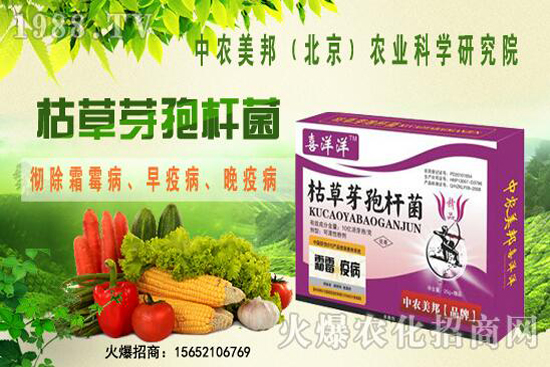 �ݲ�ѿ�ߗU���θ���������������Щ�������������Ό�������Щ��