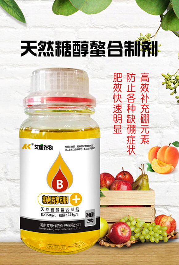 ��Ȼ�Ǵ������Ƅ�-�Ǵ���-��������_01