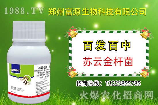 �޻�����xΣ���ڣ������@Щ���P�I��Ոץ�o������