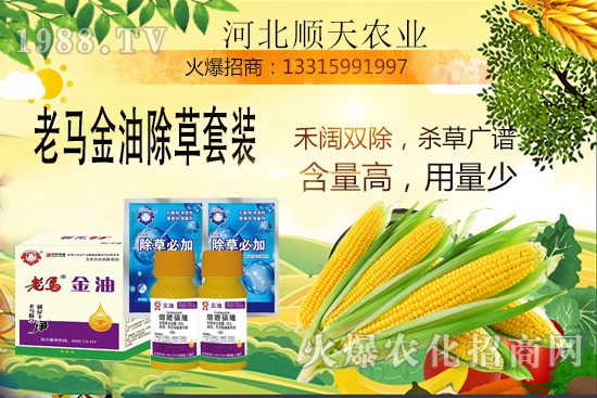 如何提高玉米苗后除草效率？玉米除草關(guān)鍵點(diǎn)大匯總！