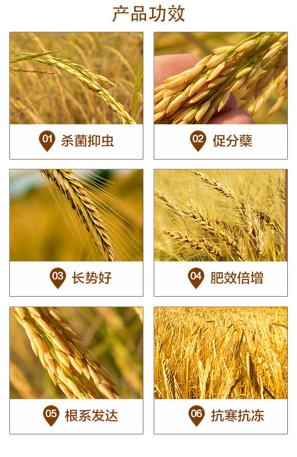 �L(zh��ng)Ч��ጓ������20-20-5-����С����-�������r(n��ng)_03