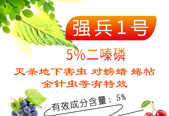 5%�����-����1̖-��������_01