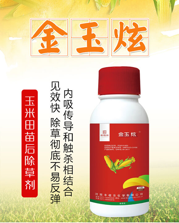 24%��������ݬȥ��-������-�S�՘�(l��)_01