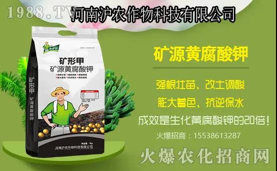 南瓜生長分哪幾個過程？南瓜施肥要點，用什么肥料好？