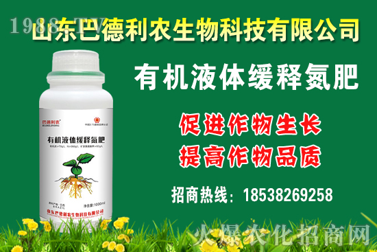 板栗多少錢一斤？種植前景如何？栗種植成本及利潤分析！