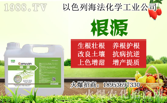 無(wú)花果怎么扦插？無(wú)花果扦插時(shí)間及扦插繁殖方法！