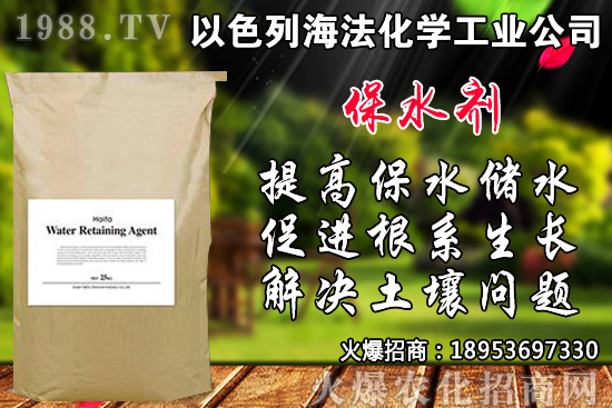 芹菜如何種植？品種如何選擇？芹菜播種時(shí)間及種植技術(shù)！