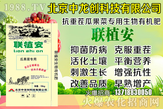 2020-8-20小麥?zhǔn)召弮r(jià)多少錢一斤？小麥價(jià)格行情如何？