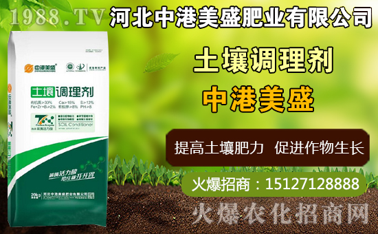 ��ˎ̫�Ӆ�ʲô�r(sh��)�g�Nֲ��̫�Ӆ�ʲô�r(sh��)���ի@���ã����Nֲ���g(sh��)��