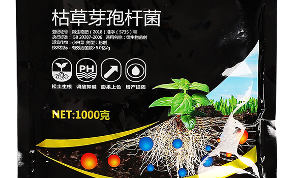 ����VԴ�S����⛡���-�~����-Ӣ����_12