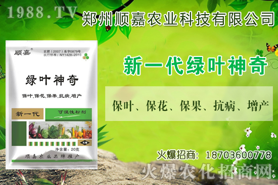 小麥價(jià)格連連上漲！現(xiàn)在一斤多少錢？