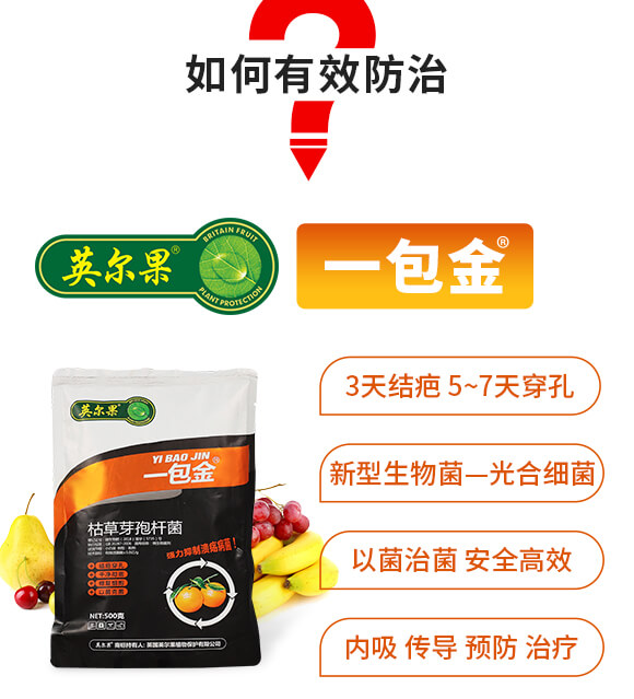 �ݲ�ѿ�ߗU��-һ����-Ӣ����_04