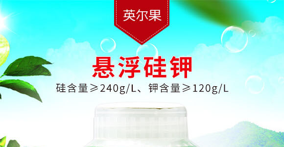 240g�Ҹ����-Ӣ����_01