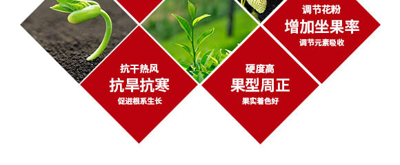 240g�Ҹ����-Ӣ����_05