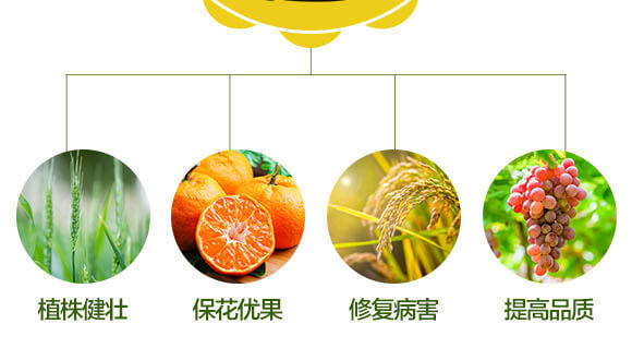 �Ǵ��\-Ӣ����_05