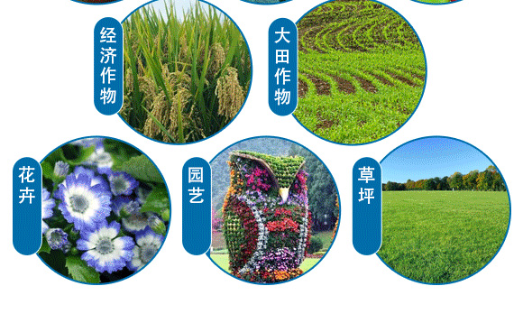 懸浮硼鋅-英爾果_08