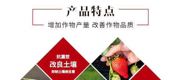 240g�Ҹ����-Ӣ����_04