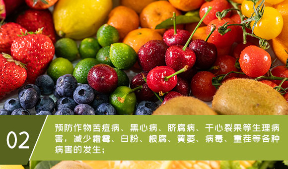 鈣鎂鋅硼鐵-英爾果_06