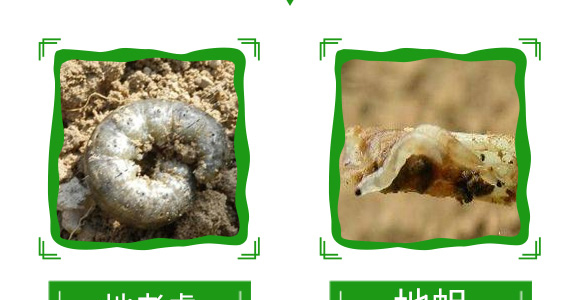 20%���衤������-����-��̖�r(n��ng)�I(y��)_11