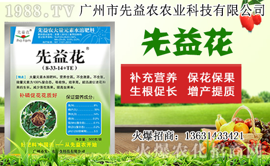 水仙花形態(tài)特征及生長(zhǎng)習(xí)性，水仙花栽培方法！