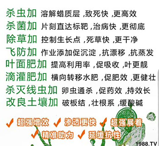 ��Ƥ��������-ؐ���S