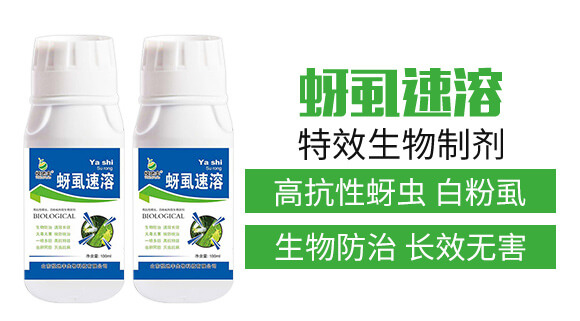 �����Ƅ�-��ʭ����-�����S����_02