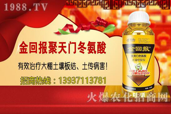 ���w�������cС�w����ɶ��ͬ������ԓ�x��һ�N��