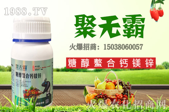 沙糖桔苗多少錢一棵？沙糖桔什么時(shí)候結(jié)果？栽培要點(diǎn)有哪些？