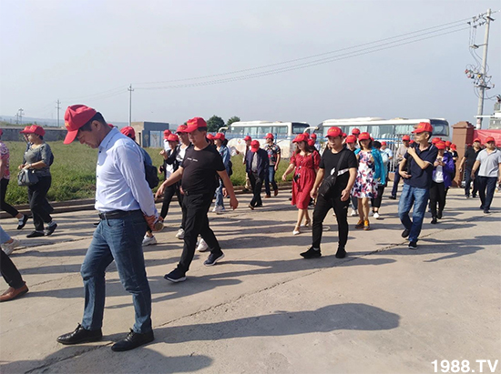 水溶肥市場大變革??？海藻精、魚蛋白將被它代替！1000多用戶鼎力推薦！